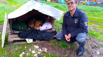 Anne köpek Tarçın’a özel güvenlikler sahip çıktı