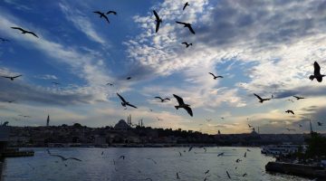 İBB’de çalışan özel güvenlik görevlilerin çektiği fotoğraflar İstanbullularla buluşuyor