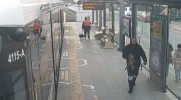 Tramvayın altına giren kediyi özel güvenlik görevlisi kurtardı