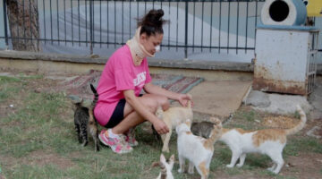 Pitbull kedilerine, pitbullun sahibi kendisine saldırdı