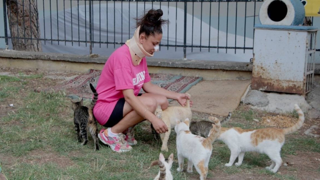 Pitbull kedilerine, pitbullun sahibi kendisine saldırdı