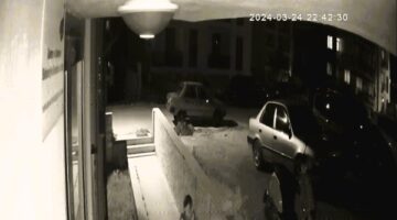 Üniversiteli genç kıza kabusu yaşatan, kamu kurumunda özel güvenlik müdürüymüş!