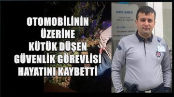 Ordu’da İnanılmaz Kaza; Kamyondaki Kütükler Otomobilin Üzerine Düştü