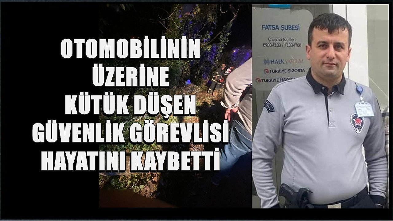 Ordu’da İnanılmaz Kaza; Kamyondaki Kütükler Otomobilin Üzerine Düştü
