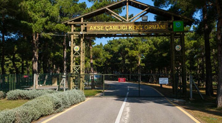 Kavgaya müdahale eden özel güvenlik görevlisi bıçakla yaralandı