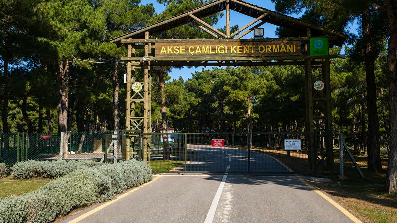 Kavgaya müdahale eden özel güvenlik görevlisi bıçakla yaralandı